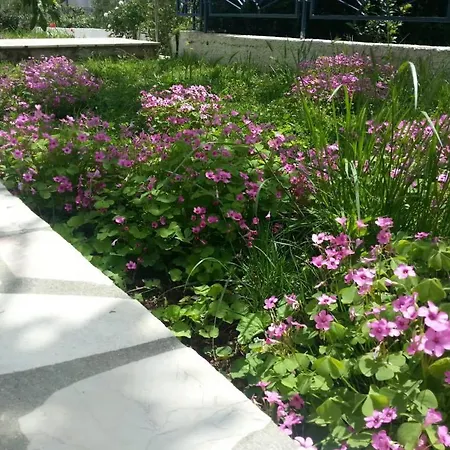 Sunny Paradise, 50 M From * Podglavica